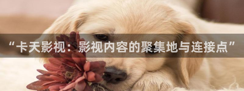 人人影剧
