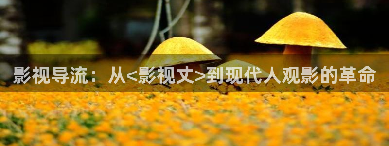 心有千千结电视剧全集人人影院