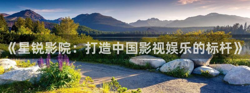 人人视频网