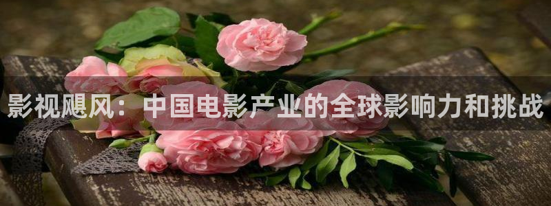 人人影视大全