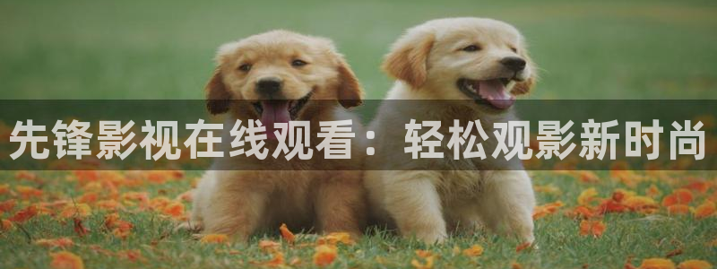 人人影音播放器