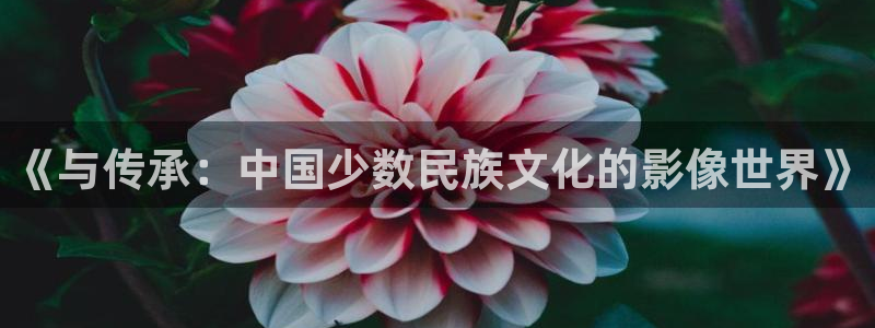 人人影院-最新电影-高清电视剧-免费