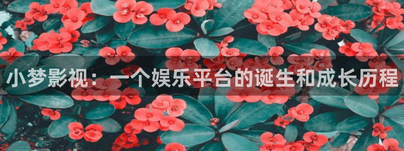 人人影音播放器