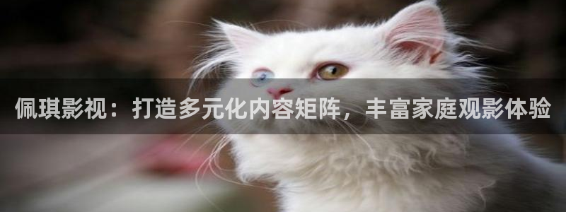 人人影视app