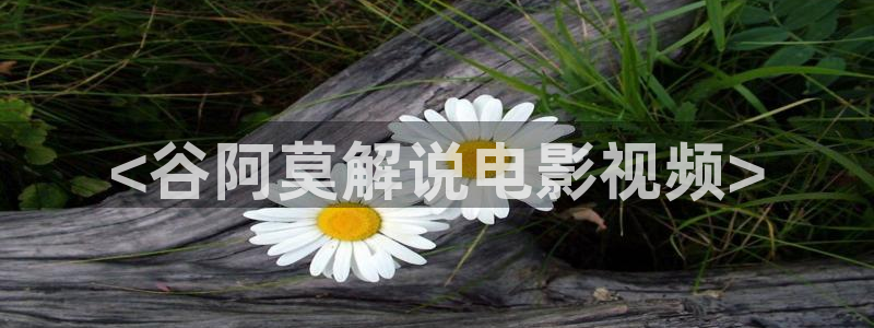 人人视频网址