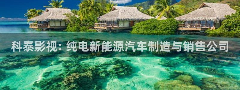 人人视频网