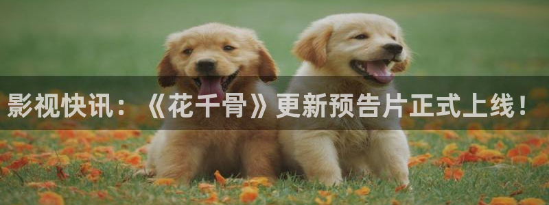 人人影院