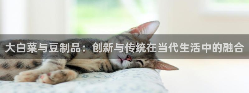 人人影院电影免费观看