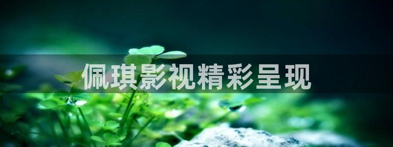 人人视频网
