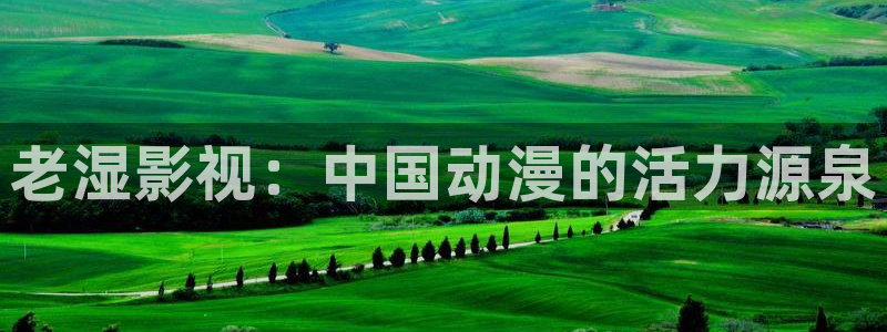 人人影院在线观看免费播放电视剧